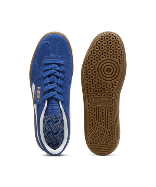 Palermo - Cobalt Blue:White / 396463-07
