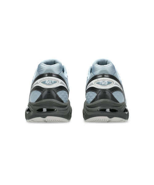 GT-2160 NS - Fjord Gray: Graphite Gray / 1203A375-400