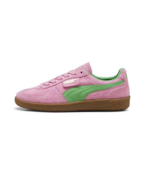 Palermo Special - Pink:Green:Black / 397549-01