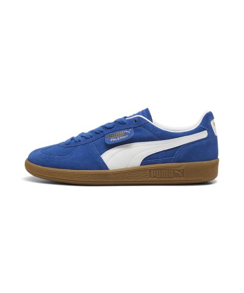 Palermo - Cobalt Blue:White / 396463-07