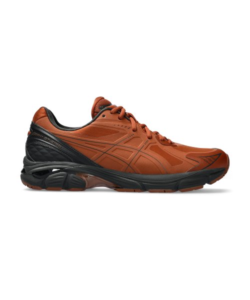 GT-2160 NS - Brown:Graffiti Gray / 1203A375-200