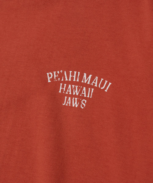 V.S.C TEE(PEAHI BIG WAVE)_RED